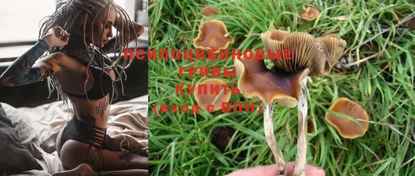 каннабис Алзамай