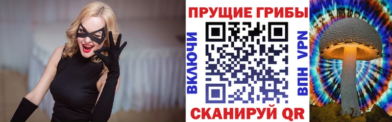 Галлюциногенные грибы MAGIC MUSHROOMS где продают Рошаль